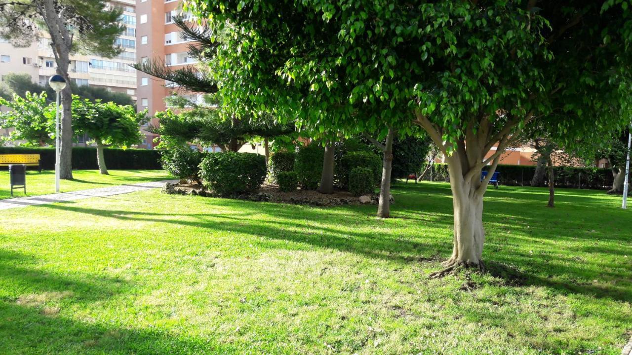Apartamento Edificio Provima B 5 베니돔 외부 사진